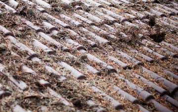 Pitfichie roof cleaning companies