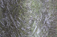 Pitfichie fibreglass roof work